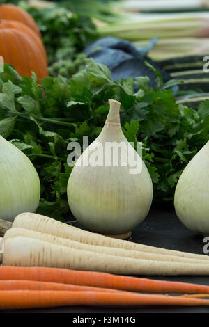 Gemüseausstellung auf der Herbstschau. VEREINIGTES KÖNIGREICH Stockfoto