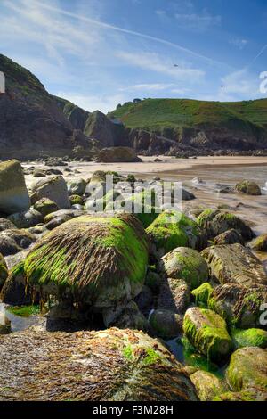 Plemont Bay, Jersey, britische Inseln Stockfoto