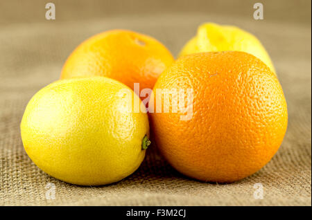 Gruppe von Orangen und Zitronen Stockfoto