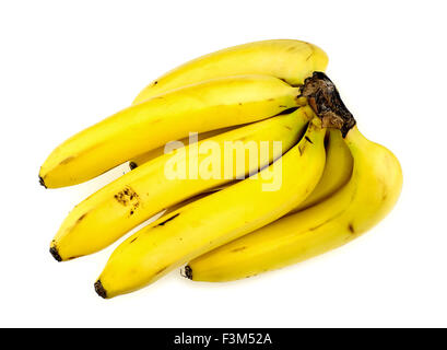 Bündel Bananen Studio gedreht Stockfoto