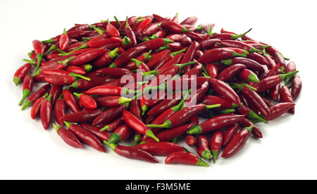 Nahaufnahme von einem Haufen von leuchtend roten Chilischoten isoliert auf weißem Hintergrund Stockfoto