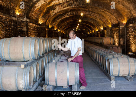 Winzer testen Gärung in den Kellern an Il Borro, Agristurismo in San Giustino Val D'Arno, Toskana, Italien Stockfoto