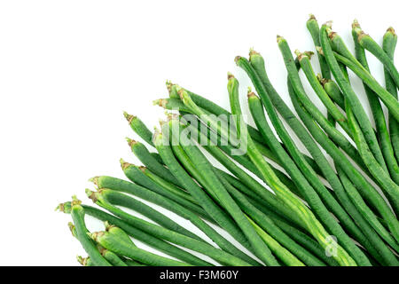 Schlange Cowpea Bohnen Stockfoto