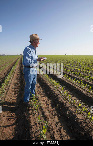 Feld, Landwirt, Kontrolle, Furche, Arkansas Stockfoto