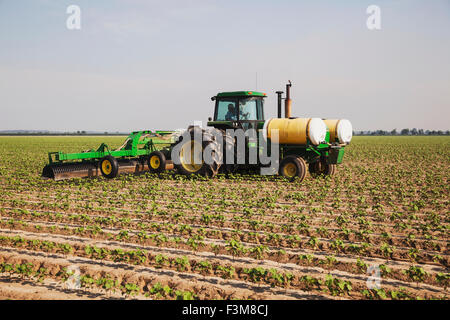 Feld, Traktor, Baumwolle, Arkansas, Crop Sprayer Stockfoto