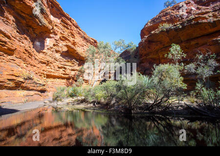 Der Garten Eden am Kings Canyon im Northern Territory, Australien Stockfoto