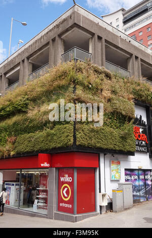 Eine "lebendige Mauer" von Pflanzen wachsen auf den Außenwänden des Wilko ist in Sutton, London Stockfoto