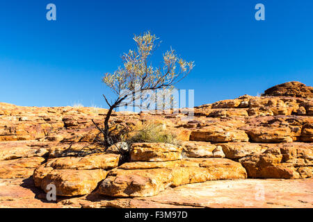 Die unglaubliche Rock Geologie der Kings Canyon im Northern Territory, Australien Stockfoto