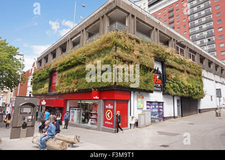 Eine "lebendige Mauer" von Pflanzen wachsen auf den Außenwänden des Wilko ist in Sutton, London Stockfoto