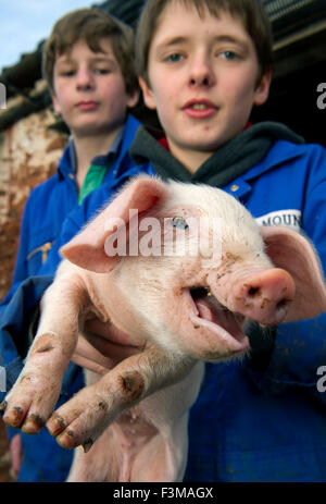 Brymore Academy, einer landwirtschaftlichen Schule lehrt Ackerbau und andere landwirtschaftliche Fähigkeiten und haben eigene Molkerei, Rinder, Schweine und sheep.a UK Stockfoto