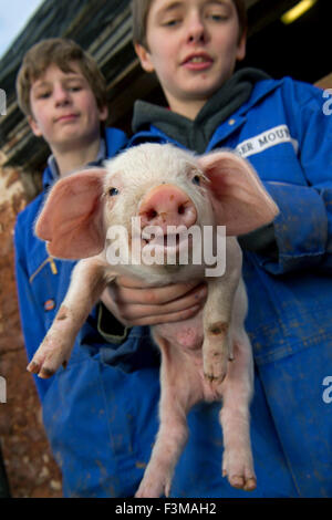 Brymore Academy, einer landwirtschaftlichen Schule lehrt Ackerbau und andere landwirtschaftliche Fähigkeiten und haben eigene Molkerei, Rinder, Schweine und sheep.a UK Stockfoto