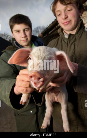 Brymore Academy, einer landwirtschaftlichen Schule lehrt Ackerbau und andere landwirtschaftliche Fähigkeiten und haben eigene Molkerei, Rinder, Schweine und sheep.a UK Stockfoto