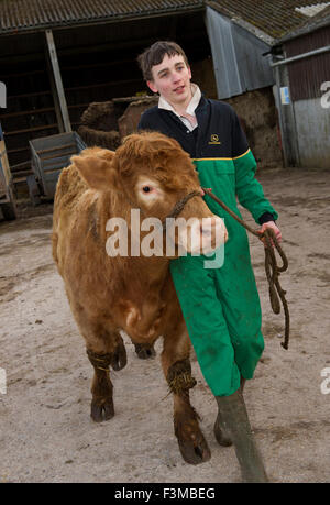 Brymore Academy, einer landwirtschaftlichen Schule lehrt Ackerbau und andere landwirtschaftliche Fähigkeiten und haben eigene Molkerei, Rinder, Schweine und sheep.a UK Stockfoto