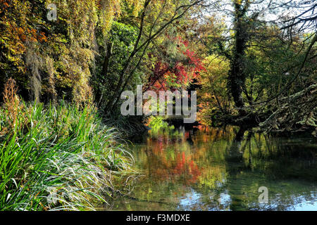 Shipton-unter-Wychwood, Oxfordshire, Vereinigtes Königreich. 9. Oktober 2015. UK-Wetter: Herbst Herbst Farben beginnen am Wychwood Wild Garden in Shipton unter Wychwood in Oxfordshire angezeigt werden soll. Die 12,5 Hektar großen Alleen, Wäldern und Teichen wurde in den 1860er Jahren angelegt und ist jetzt im Besitz der Gemeinde Bild: Ric Mellis 10.09.2015 Shitpton unter Wychwood, Oxfordshire, UK Credit: Ric Mellis/Alamy Live News Stockfoto