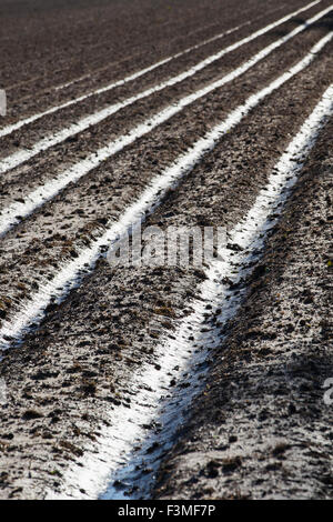 Nasse, Boden, Pfütze, Furche, Feld, Bauernhof, Arkansas Stockfoto