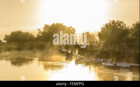 Austretenden Dampf Nebel steigt über den Fluss Arun an einem kalten Morgen im Arundel, West Sussex, England, UK. Stockfoto