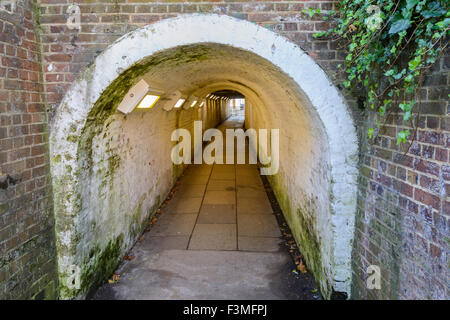 Ivy Arch Fußgängertunnel unterhalb einer Eisenbahn in Worthing, West Sussex, England, UK. Stockfoto