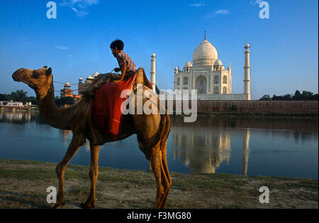 Agra, Uttar Pradesh, Indien. Kamel und indische Junge neben dem Fluss auf das Taj Mahal in Agra. Ein indischer Junge mit seinem Kamel reitet am Ufer des Flusses Yamuna mit dem Taj Mahal im Hintergrund. Besuchen Indiens bekannteste Reiseziel, das Taj Mahal in Agra, Uttar Pradesh. Das Taj wurde von Shah Jahan als Mausoleum für seine dritte Frau unsere verstorbenen im Jahre 1631. Im Jahr 1632 begonnen und im Jahre 1653, das Taj Mahal ist ein UNESCO-Weltkulturerbe und gilt als eines der acht Weltwunder. Stockfoto