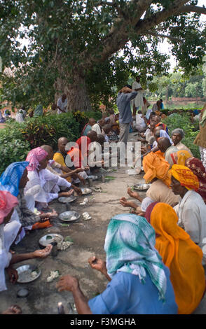 Menschen beten unter dem Bodhi-Baum, wo der Buddha im Mahabodhi-Tempel, Bodhgaya, Bihar, Indien, Bodhgaya Erleuchtung erreicht Stockfoto