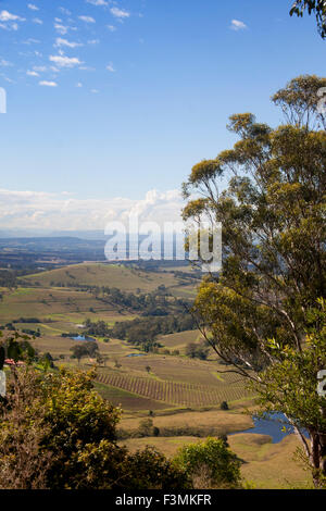 Lower Hunter Valley in der Nähe von Cessnock NSW Australia Stockfoto