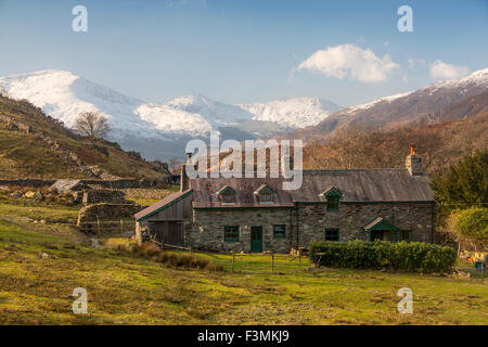 Bauernhaus in Snowdonia mit Moel Hebog Berg im Hintergrund im Schnee im Winter in der Nähe von Beddgelert Gwynedd North Wales UK Stockfoto