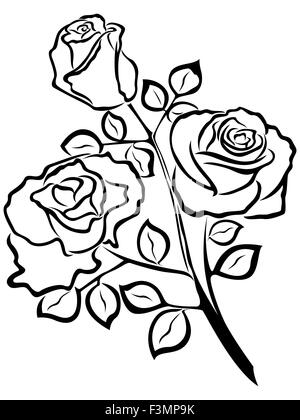 Schwarze Umrisse von Rosenblüten isoliert auf einem weißen Hintergrund, Vektor-illustration Stock Vektor