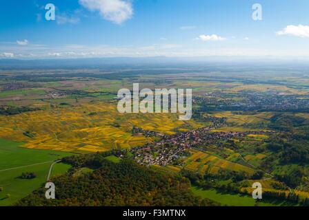 Frankreich, Bas Rhin (67), Straße, Heiligenstein, Weinberge im Herbst (Luftbild) Weine / / Bas Rhin (67), route des Vins, Heiligens Stockfoto