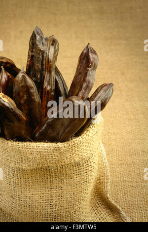 Johannisbrotbäumen auf Sackleinen Stockfoto