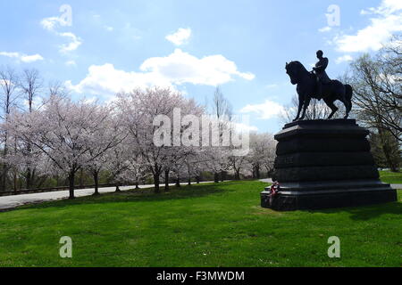 General George G. Meade Equestrian Denkmal und Kirschblüten Stockfoto