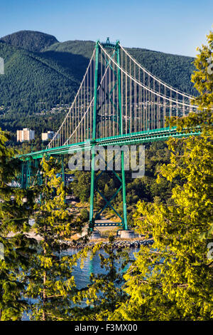 Seitlicher Blick auf die Lions Gate Bridge, vom Stanley Park. Stockfoto