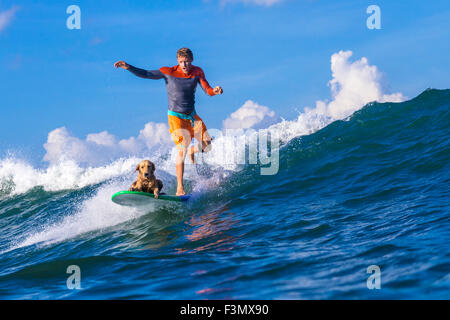 Surfer mit einem Hund auf dem Surfbrett. Stockfoto