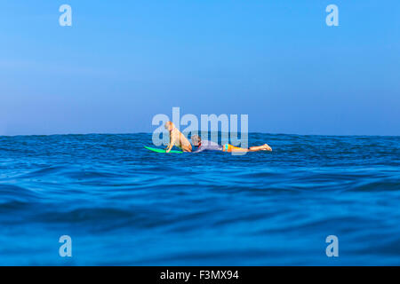 Surfer mit einem Hund auf dem Surfbrett. Stockfoto