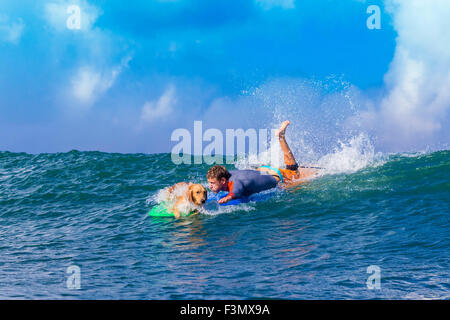 Surfer mit einem Hund auf dem Surfbrett. Stockfoto