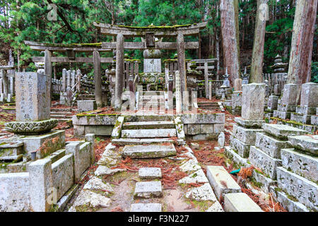 Japan, Koyasan, Okunoin Friedhof. Kleine Weg zu konkreten torii Tor mit erhöhten Bereich mit Stein Memorial Grabsteine im Zedernwald. Stockfoto