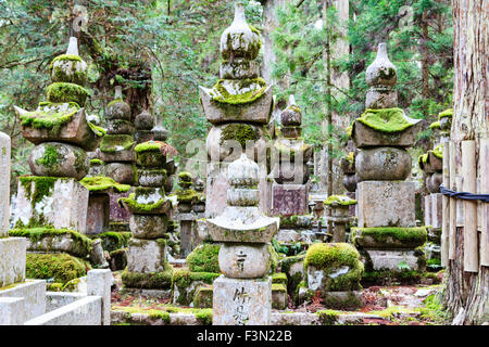 Japan, Koyasan, alten Japanischen Friedhof, Okunoin. Reihe der großen Moos bedeckt Stupa, Gorin, 5-stoned Pagoden, mit Zedern Wald als Hintergrund. Stockfoto