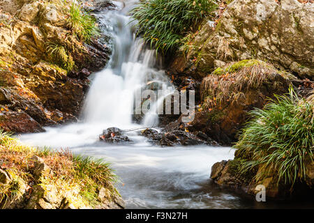 Mino, in der Nähe von Osaka. Kleiner Fluss über Felsen und kleinen Wasserfall sprudeln. Seidig glatte Effekt wie Wasser runden und stolpert über die Felsen. Stockfoto