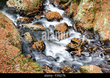 Mino, in der Nähe von Osaka. Kleiner Fluss über Felsen und kleinen Wasserfall sprudeln. Seidig glatte Effekt wie Wasser runden und stolpert über die Felsen. Stockfoto