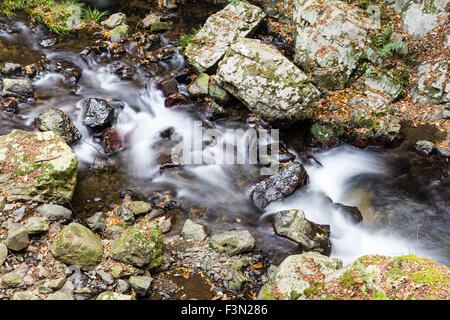 Mino, in der Nähe von Osaka. Kleiner Fluss über Felsen und kleinen Wasserfall sprudeln. Seidig glatte Effekt wie Wasser runden und stolpert über die Felsen. Stockfoto