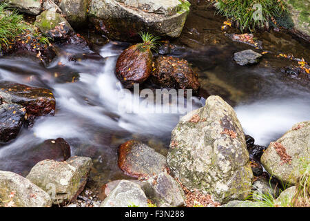 Mino, in der Nähe von Osaka. Kleiner Fluss über Felsen und kleinen Wasserfall sprudeln. Seidig glatte Effekt wie Wasser runden und stolpert über die Felsen. Stockfoto