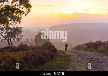 Cannock Chase, Staffordshire, UK. 10. Oktober 2015. Samstag, 10. Oktober 2015 ist es ein kalter Nebel Start in den Tag mit Temperaturen unter dem Durchschnitt für diese Zeit des Jahres über Cannock Chase in Staffordshire ein Mann einen Morgenspaziergang dauert, wie die Sonne Credit aufgeht: David Holbrook/Alamy Live News Stockfoto