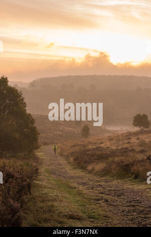 Cannock Chase, Staffordshire, UK. 10. Oktober 2015. Samstag, 10. Oktober 2015 es ist eine kalte Nebel Start in den Tag mit Temperaturen unter dem Durchschnitt für diese Zeit des Jahres, über Cannock Chase in Staffordshire A einsame Radfahrer heraus früh Reiten entlang des Weges Credit: David Holbrook/Alamy Live News Stockfoto