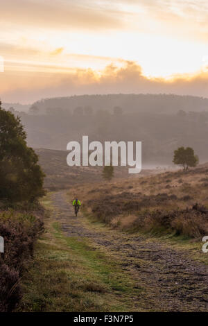 Cannock Chase, Staffordshire, UK. 10. Oktober 2015. Samstag, 10. Oktober 2015 es ist eine kalte Nebel Start in den Tag mit Temperaturen unter dem Durchschnitt für diese Zeit des Jahres, über Cannock Chase in Staffordshire A einsame Radfahrer heraus früh Reiten entlang des Weges Credit: David Holbrook/Alamy Live News Stockfoto