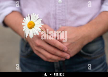 Weissagung von daisy Stockfoto