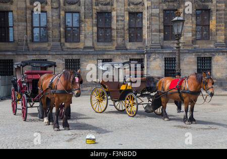 Pferde und Kutschen am Dam-Platz Amsterdam, Niederlande. Stockfoto