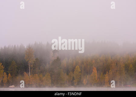 Nebligen See Scape und lebendigen Herbstfarben in den Bäumen Stockfoto