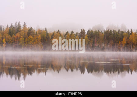 Nebligen See Scape und lebendigen Herbstfarben in den Bäumen Stockfoto