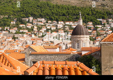 Die Dächer und Domkuppel von Dubrovnik Altstadt Stockfoto