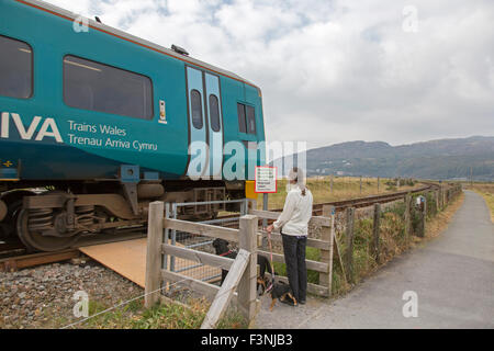 Ein Arriva-Zug auf der Cambrian Line in der Nähe von Barmouth Viadukt überquert die Mawddach Mündung, Gwynedd, Wales, UK Stockfoto