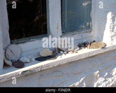 Schalen auf der Fensterbank von eines alten Fischers Hütte, Wembury, Devon, UK Stockfoto