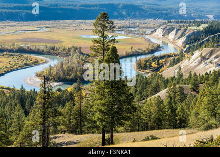 Columbia River Valley, Radium in British Columbia, Kanada Stockfoto